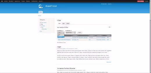 Page de test entityreference filter avec utilisation filtre vocabulaire 3